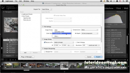 Photographers Workflow, The: Adobe Lightroom 5 and Photoshop CC: Learn by Video