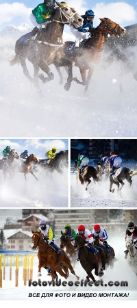 Stock Photo: Horse Grand Prix
