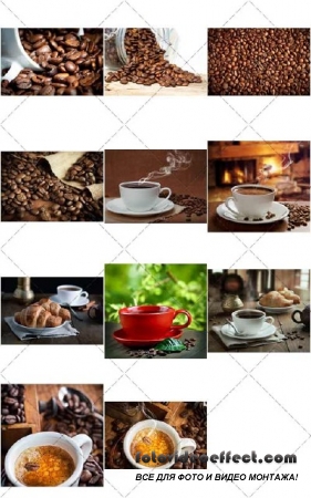    ,   | Organic coffee for breakfast in morning invigorating, 3 -  