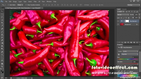 Mastering Color Correction in Photoshop Take Control of the Colors in Your Images