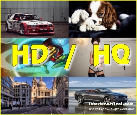  HD / HQ    229