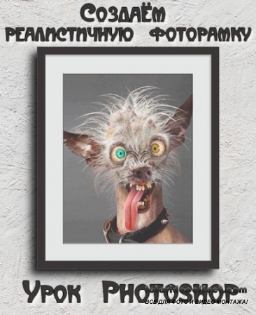  Photoshop   