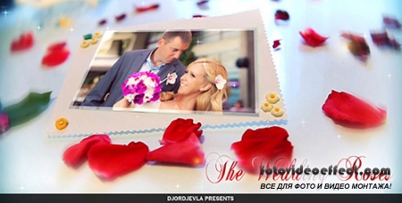 The Wedding Roses - Project for After Effects (Videohive)