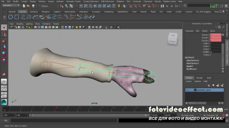 Digital-Tutors - Introduction to Rigging in Maya 2014