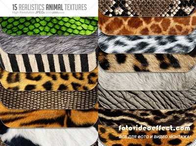 GraphicRiver - 15 Animal Textures Hi-Res - 6548711