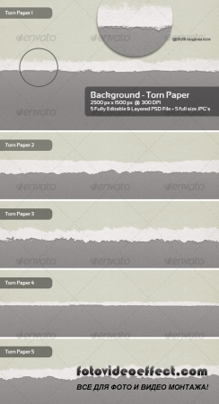 Torn Paper Backgrounds / Textures  5 Themes