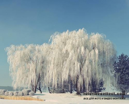 Winter-snow | - - PhotoStock