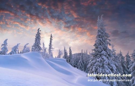 Winter-snow | - - PhotoStock