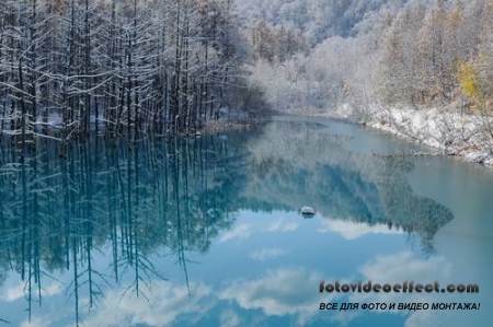 Winter-snow | - - PhotoStock