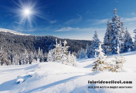 Winter-snow | - - PhotoStock