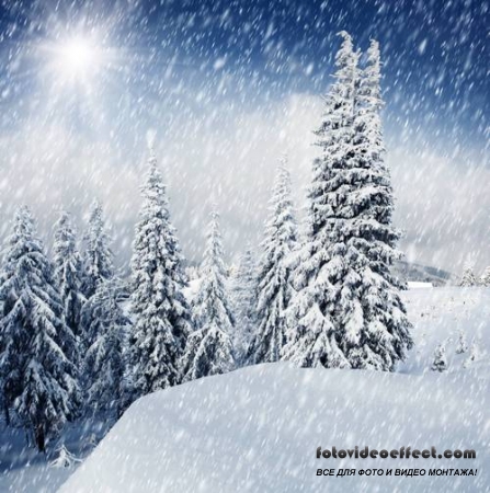 Winter-snow | - - PhotoStock