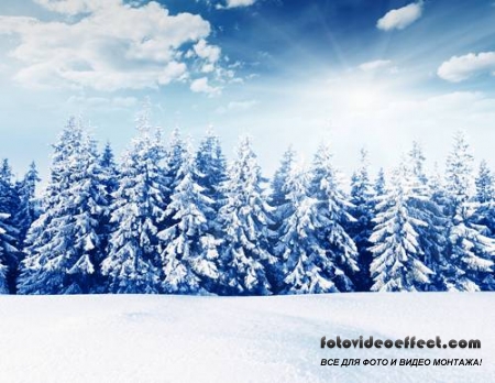 Winter-snow | - - PhotoStock