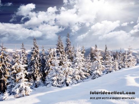 Winter-snow | - - PhotoStock