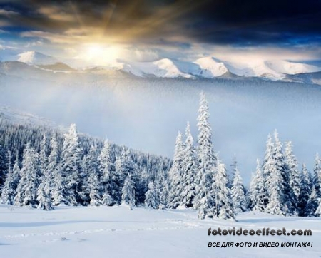 Winter-snow | - - PhotoStock