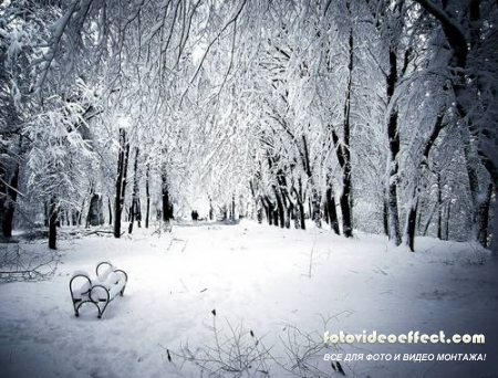 Winter-snow | - - PhotoStock