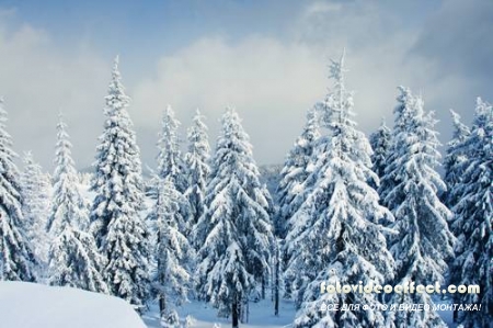 Winter-snow | - - PhotoStock