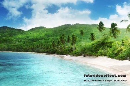 Tropical Beach |   - Photostock