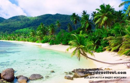 Tropical Beach |   - Photostock