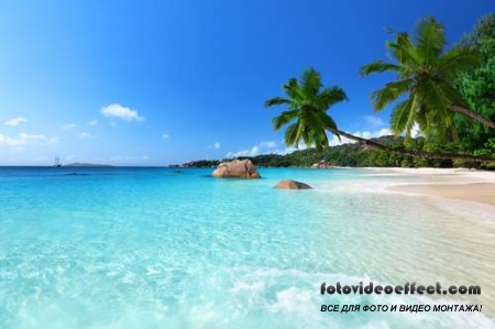 Tropical Beach |   - Photostock