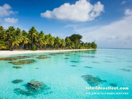 Tropical Beach |   - Photostock