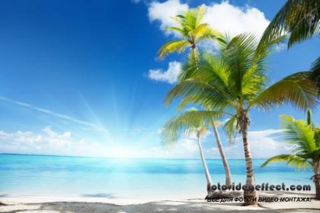 Tropical Beach |   - Photostock