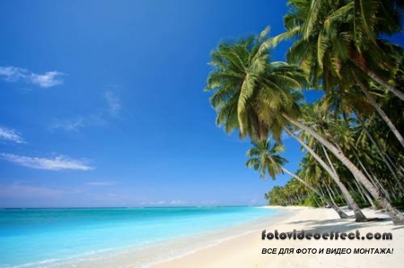 Tropical Beach |   - Photostock
