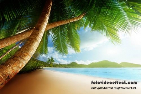 Tropical Beach |   - Photostock