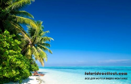 Tropical Beach |   - Photostock