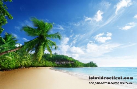 Tropical Beach |   - Photostock