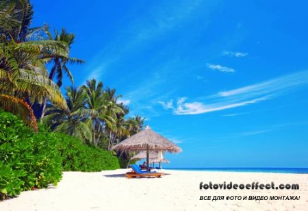 Tropical Beach |   - Photostock