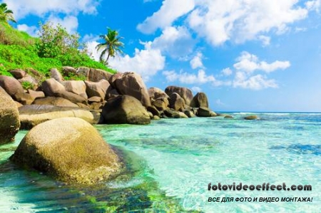 Tropical Beach |   - Photostock