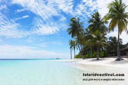 Tropical Beach |   - Photostock