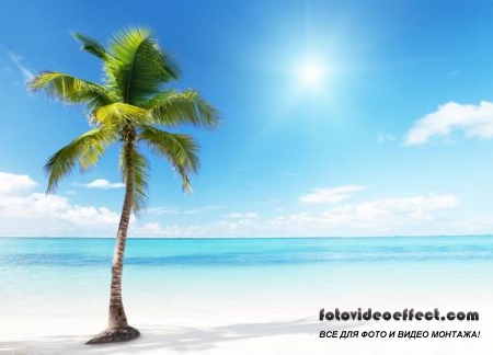 Tropical Beach |   - Photostock