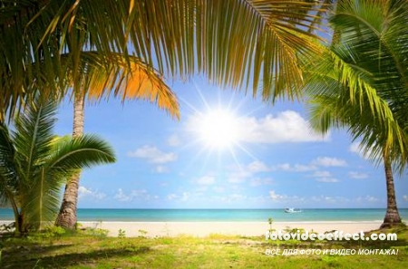 Tropical Beach |   - Photostock