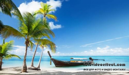 Tropical Beach |   - Photostock