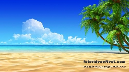 Tropical Beach |   - Photostock