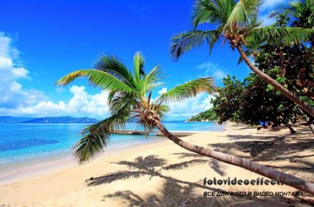 Tropical Beach |   - Photostock