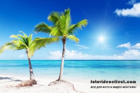 Tropical Beach |   - Photostock