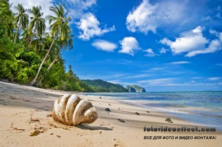 Tropical Beach |   - Photostock