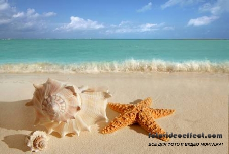 Tropical Beach |   - Photostock