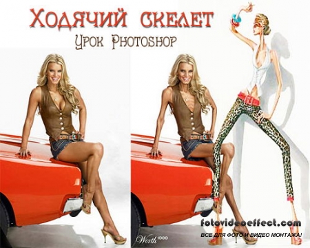  Photoshop  