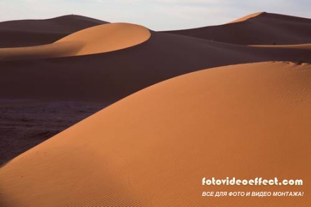 Desert |  - Photostock