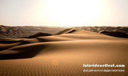 Desert |  - Photostock