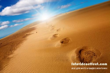 Desert |  - Photostock