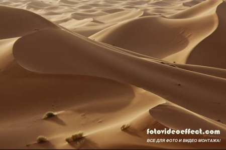 Desert |  - Photostock