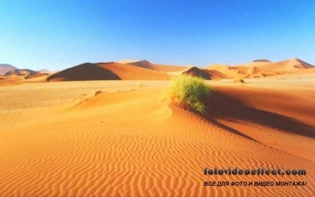 Desert |  - Photostock