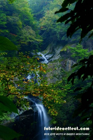 Waterfall | Водопады - Photostock