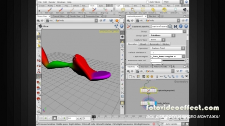 Digital-Tutors - Character Capturing Using Proximity in Houdini