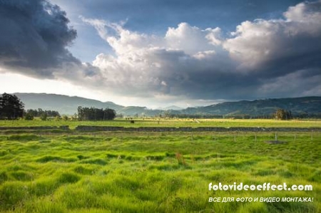 Green field |    - Photostock