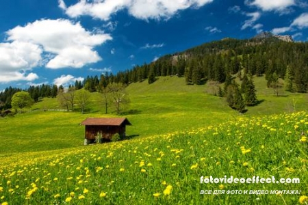 Green field |    - Photostock